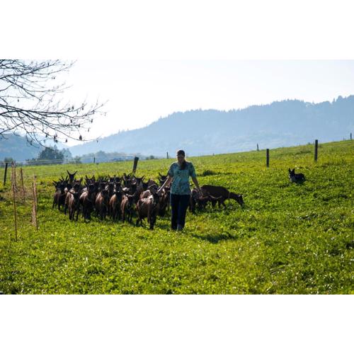 Agroturistika kozí farma Rožnov pod Radhoštěm